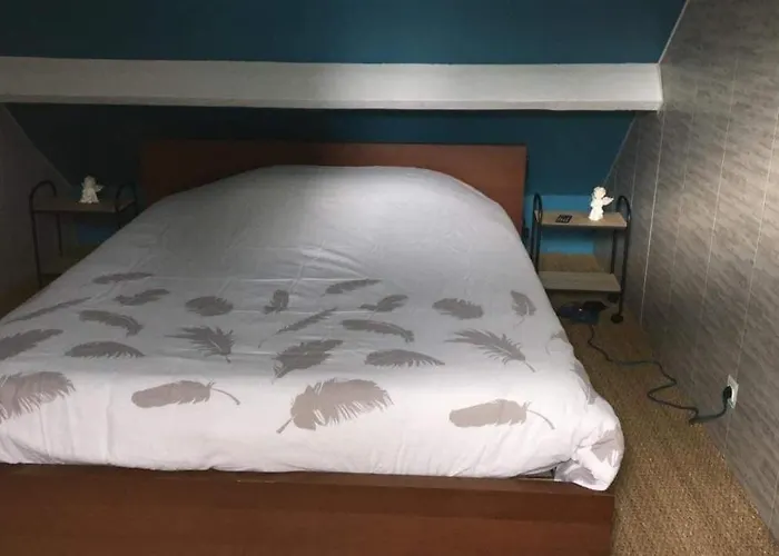 Proche Du Circuit Des 24h ホームステイ ミュルザンヌ